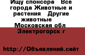 Ищу спонсора - Все города Животные и растения » Другие животные   . Московская обл.,Электрогорск г.